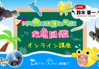 セブ島オンラインツアー｜お魚博士によるお魚図鑑オンライン講座
