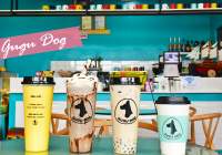 Must-see dog lovers! Dog cafe "GUGU DOG"