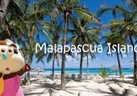 Things that attracts international divers in Malapascua island?