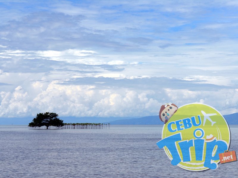 ボホルのヴァージンアイランド