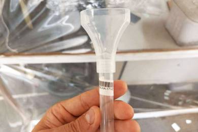 セブ島でPT-PCR検査を受ける方法 #