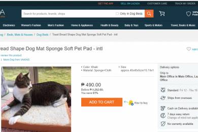 LAZADA（オンラインショップ） #