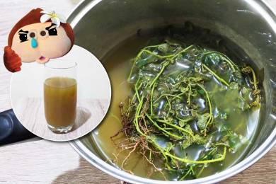 フィリピン伝統自然療法 #