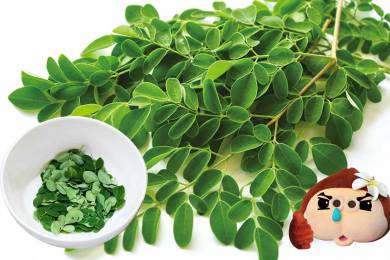 フィリピン伝統自然療法 #