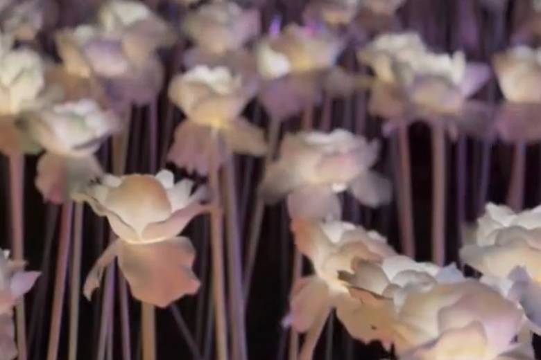 3 Day Cebu Highlights Tour #