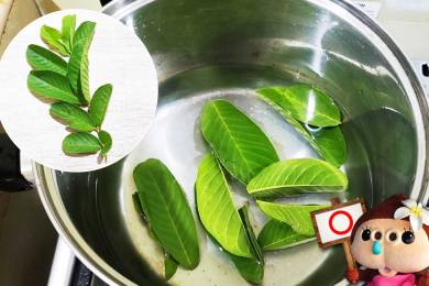 フィリピン伝統自然療法 #