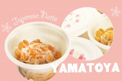 セブ島生活情報 #