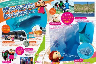 セブ・マクタン島観光ガイドブック「CEBU TRIP（セブトリップ）」 #